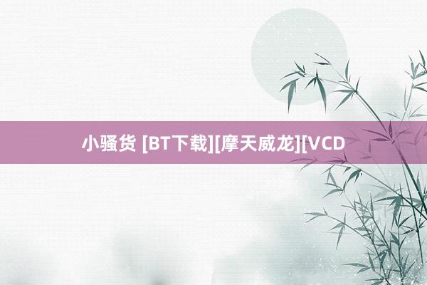 小骚货 [BT下载][摩天威龙][VCD