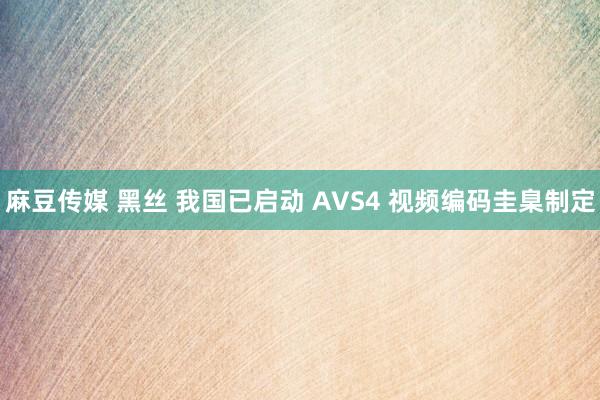 麻豆传媒 黑丝 我国已启动 AVS4 视频编码圭臬制定