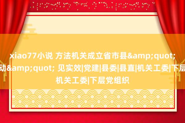 xiao77小说 方法机关成立省市县&quot;三级联动&quot; 见实效|党建|县委|县直|机关工委|下层党组织