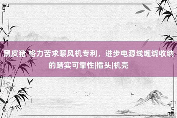 黑皮猪 格力苦求暖风机专利，进步电源线缠绕收纳的踏实可靠性|插头|机壳